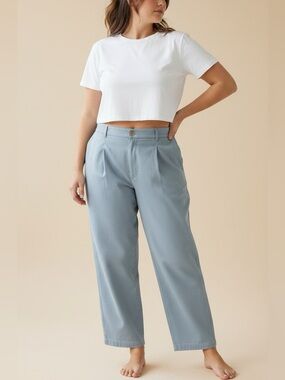 BIG BUD PRESS Organic Trousers Pants, Periwinkle Blue, Large
